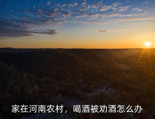 家在河南農村，喝酒被勸酒怎么辦