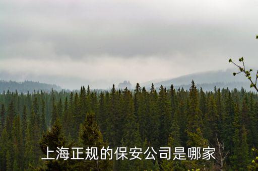 上海保安，上海正規的保安公司是哪家