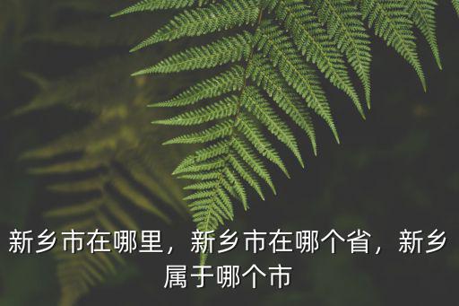 上塘新鄉(xiāng)是哪里的,新鄉(xiāng)市在哪里