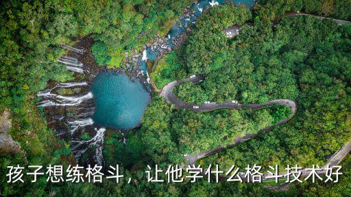 孩子想練格斗，讓他學什么格斗技術好