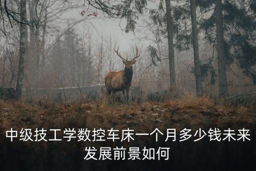 中級技工學(xué)數(shù)控車床一個(gè)月多少錢未來發(fā)展前景如何
