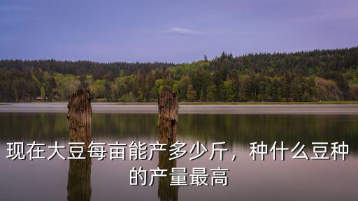 現在大豆每畝能產多少斤，種什么豆種的產量最高