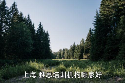 上海 雅思培訓機構哪家好