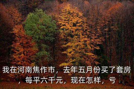 我在河南焦作市，去年五月份買了套房，每平六千元，現在怎樣，虧