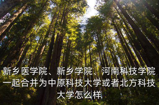 新鄉醫學院、新鄉學院、河南科技學院一起合并為中原科技大學或者北方科技大學怎么樣