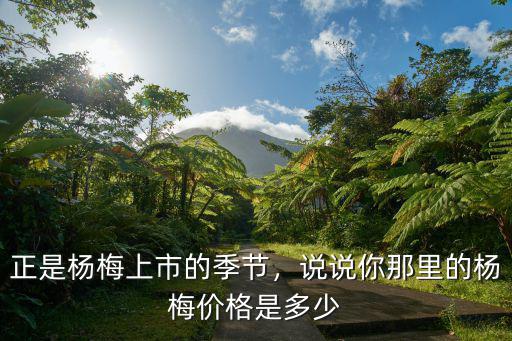 正是楊梅上市的季節(jié)，說說你那里的楊梅價格是多少