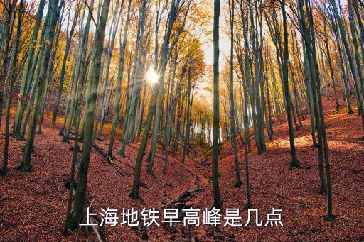 上海地鐵早高峰是幾點(diǎn)