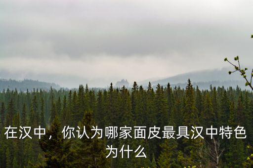 在漢中，你認為哪家面皮最具漢中特色為什么