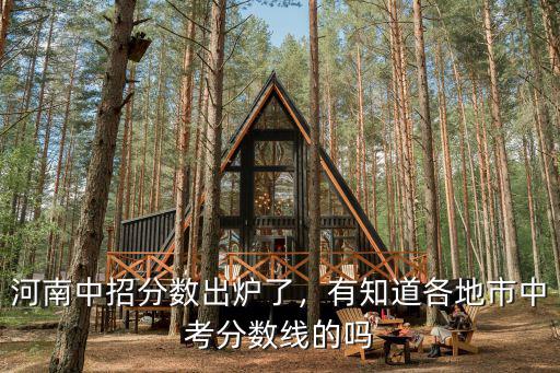 河南中招分數出爐了，有知道各地市中考分數線的嗎