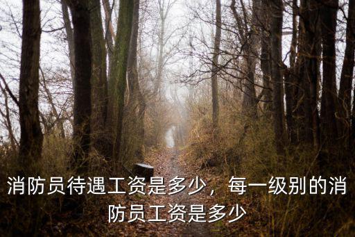 消防員待遇工資是多少，每一級別的消防員工資是多少