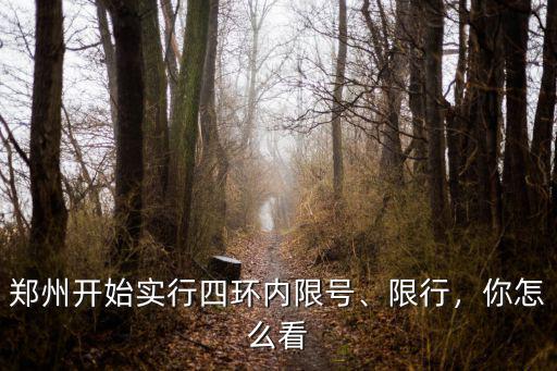 怎么查鄭州限行,鄭州開始實行四環內限號