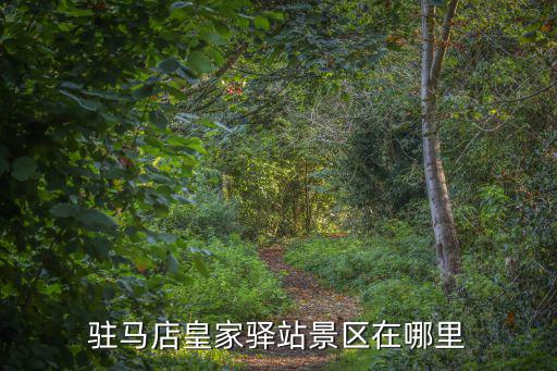 駐馬店桑王莊在哪里,駐馬店皇家驛站景區(qū)在哪里