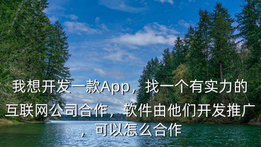 我想開發一款App，找一個有實力的互聯網公司合作，軟件由他們開發推廣，可以怎么合作