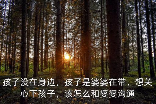 孩子沒在身邊，孩子是婆婆在帶，想關(guān)心下孩子，該怎么和婆婆溝通