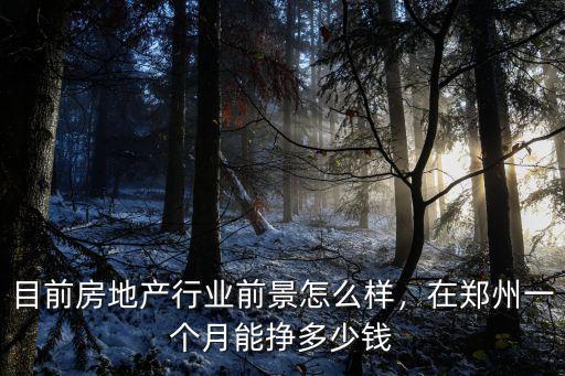 目前房地產行業前景怎么樣，在鄭州一個月能掙多少錢