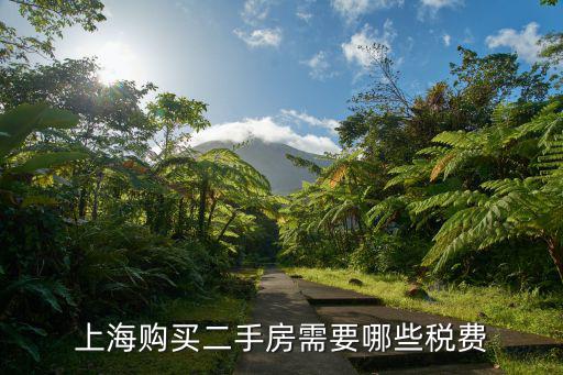 上海二手房交易稅費，上海購買二手房需要哪些稅費