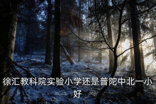 徐匯教科院實(shí)驗(yàn)小學(xué)還是普陀中北一小好