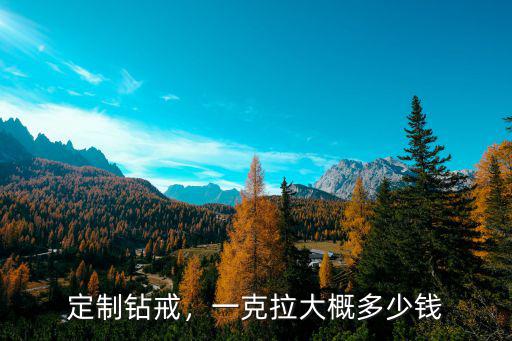 定制鉆戒，一克拉大概多少錢