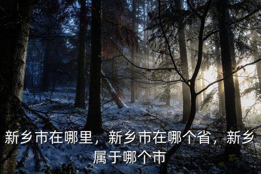 新鄉市在哪里，新鄉市在哪個省，新鄉屬于哪個市