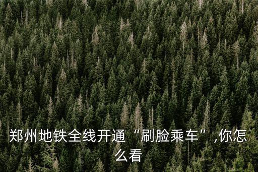 鄭州地鐵全線開通“刷臉乘車”,你怎么看