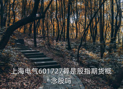 上海電氣601727算是股指期貨概念股嗎