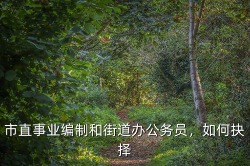 市直事業(yè)編制和街道辦公務員，如何抉擇
