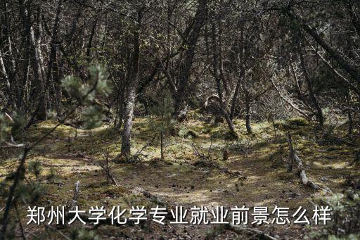 鄭州大學(xué)化學(xué)專業(yè)就業(yè)前景怎么樣