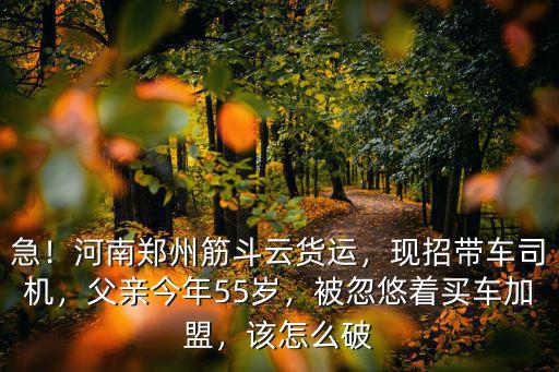 急！河南鄭州筋斗云貨運，現招帶車司機，父親今年55歲，被忽悠著買車加盟，該怎么破