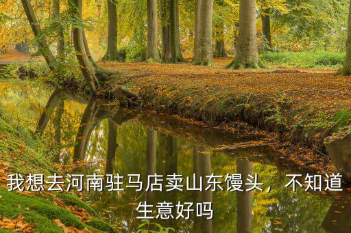 我想去河南駐馬店賣山東饅頭，不知道生意好嗎