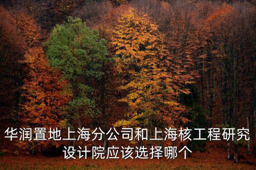 華潤置地上海分公司和上海核工程研究設計院應該選擇哪個