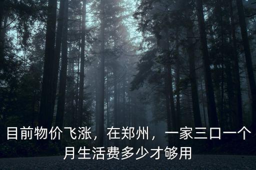 目前物價(jià)飛漲，在鄭州，一家三口一個(gè)月生活費(fèi)多少才夠用