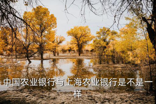 中國農業銀行與上海農業銀行是不是一樣