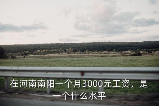 在河南南陽一個月3000元工資，是一個什么水平