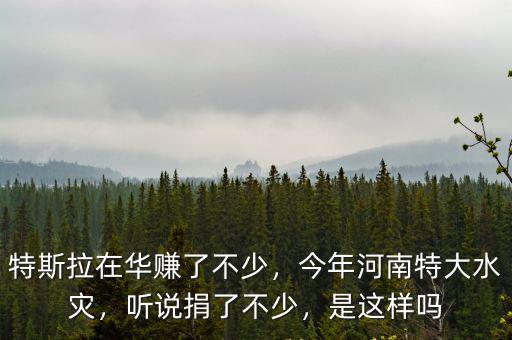 特斯拉在華賺了不少，今年河南特大水災，聽說捐了不少，是這樣嗎