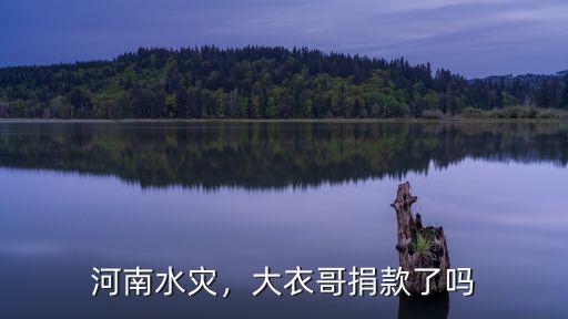 河南水災(zāi)，大衣哥捐款了嗎
