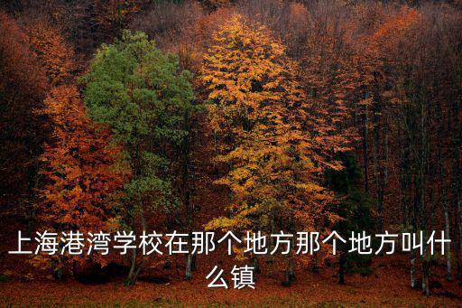 上海港灣學(xué)校在那個地方那個地方叫什么鎮(zhèn)