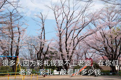 很多人因為彩禮錢娶不上老婆，在你們老家，彩禮一般都是多少錢