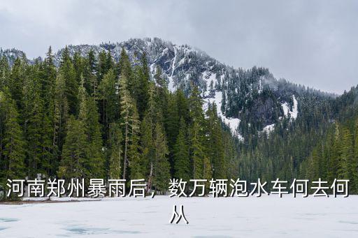 河南鄭州暴雨后，數(shù)萬輛泡水車何去何從