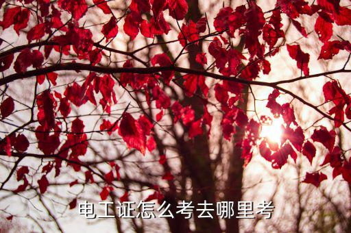 電工證怎么考去哪里考