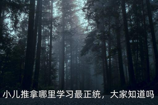 小兒推拿哪里學(xué)習(xí)最正統(tǒng)，大家知道嗎