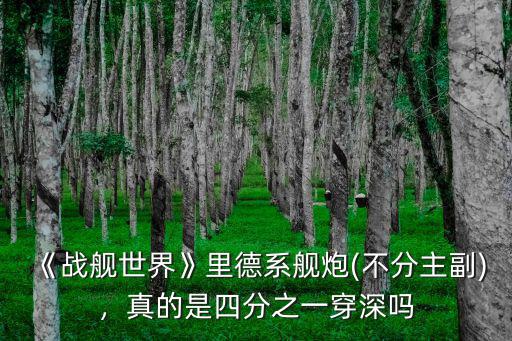 《戰(zhàn)艦世界》里德系艦炮(不分主副)，真的是四分之一穿深嗎