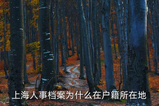 上海人事，上海人事專員工資大概是多少本科畢業(yè)的話