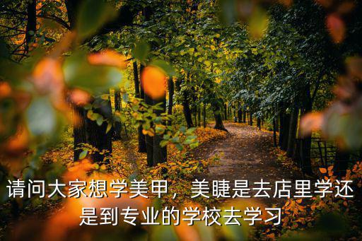 請問大家想學美甲，美睫是去店里學還是到專業的學校去學習