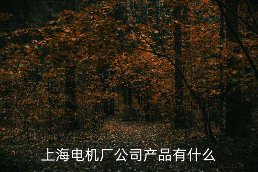 上海電機廠公司產品有什么