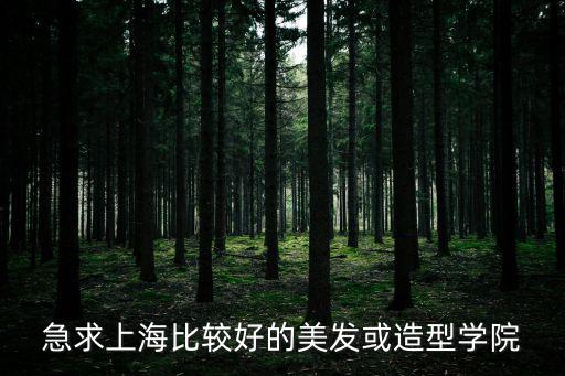 上海美容美發，急求上海比較好的美發或造型學院