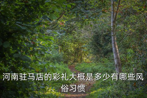 河南駐馬店的彩禮大概是多少有哪些風俗習慣