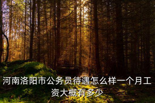 河南洛陽市公務員待遇怎么樣一個月工資大概有多少