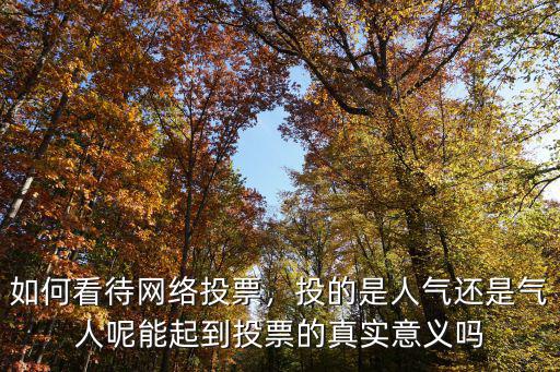 鄭州網(wǎng)絡(luò)投票怎么樣,如何看待網(wǎng)絡(luò)投票