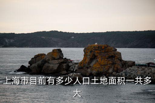 上海市目前有多少人口土地面積一共多大
