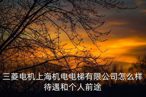 三菱電機上海機電電梯有限公司怎么樣待遇和個人前途
